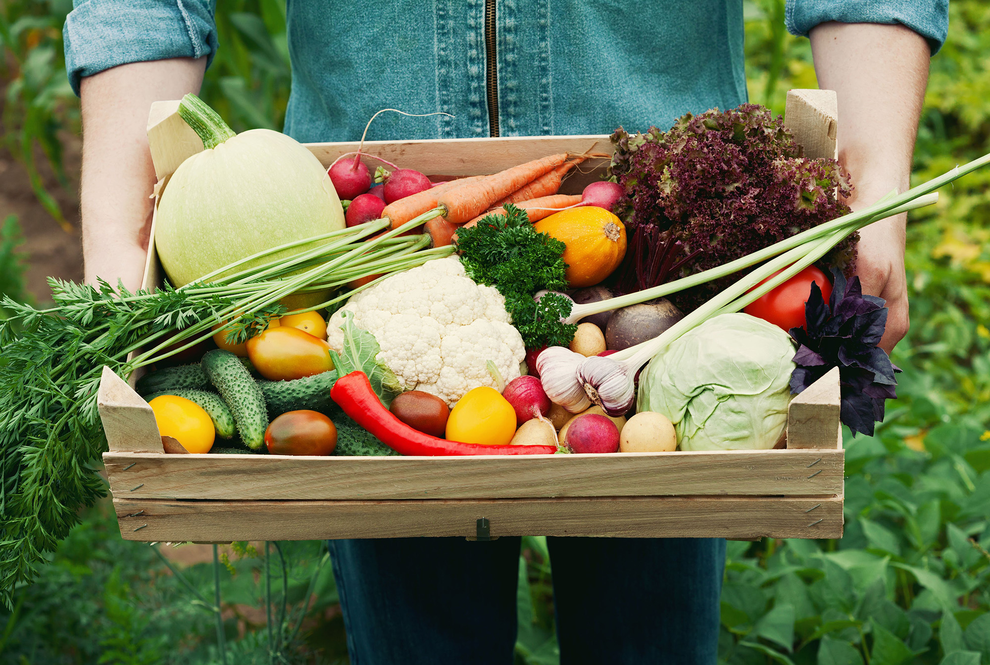 Analysis of sensory indexes of dehydrated vegetables